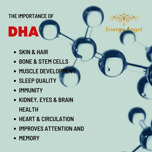 Unveiling the Power of DHA: A Deep Dive for Health Enthusiasts